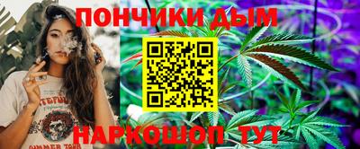 гашик Будённовск