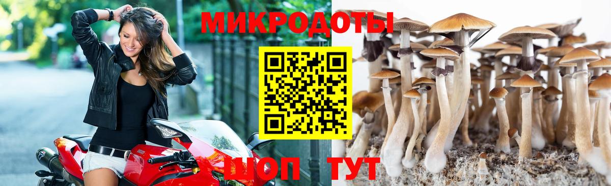 Псилоцибиновые грибы MAGIC MUSHROOMS  Галлюциногенные грибы ЛСД  Крымск  Вход с VPN 